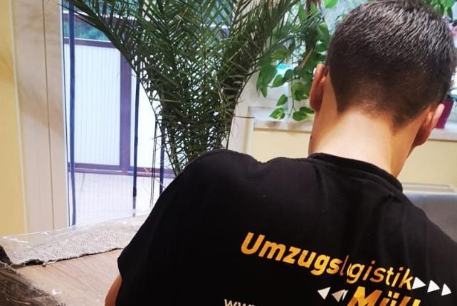 Laborumzug Trebendorf stressfrei umziehen 